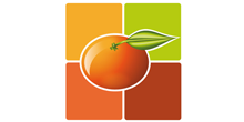 e-mandarine agence webmarketing, web analytics et e-réputation